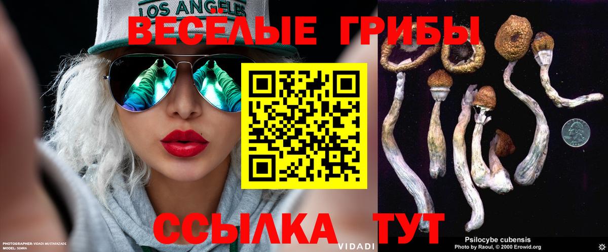 Моршанск  Галлюциногенные грибы Cubensis  Вход с VPN 
