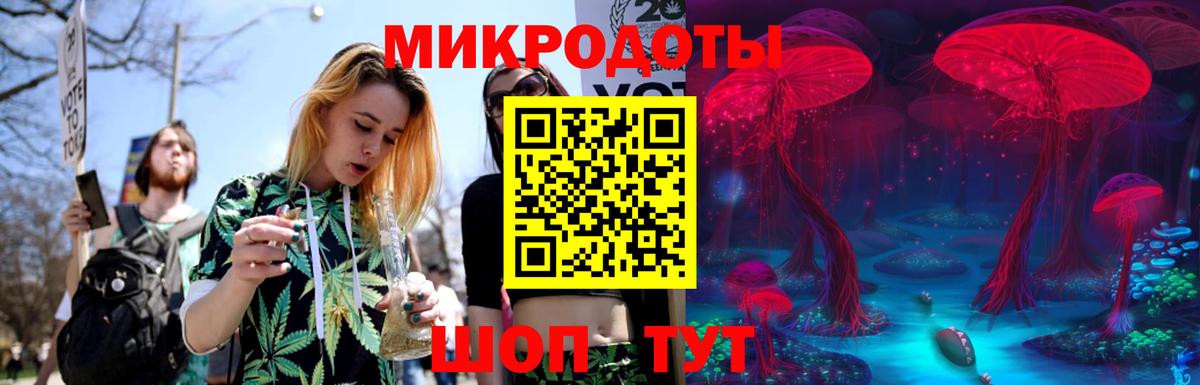 Галлюциногенные грибы Psilocybe Моршанск